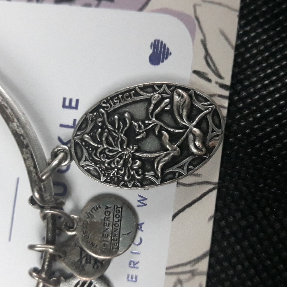 Alex And Ani charm bracelet - Picture 2 of 7